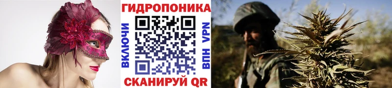 Где продают наркотики Орехово-Зуево A-PVP Меф Экстази ГАШИШ