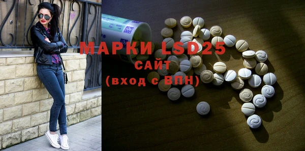 спайс Вяземский