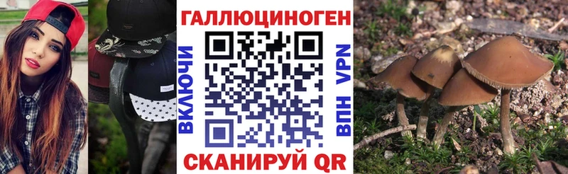 Псилоцибиновые грибы Psilocybine cubensis Орехово-Зуево